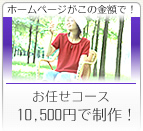 ホームページがこの金額で!お任せコース10,500円で制作