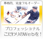 本格的、完全フルオーダー|プロフェショナルコースこだわりWEBサイトを
